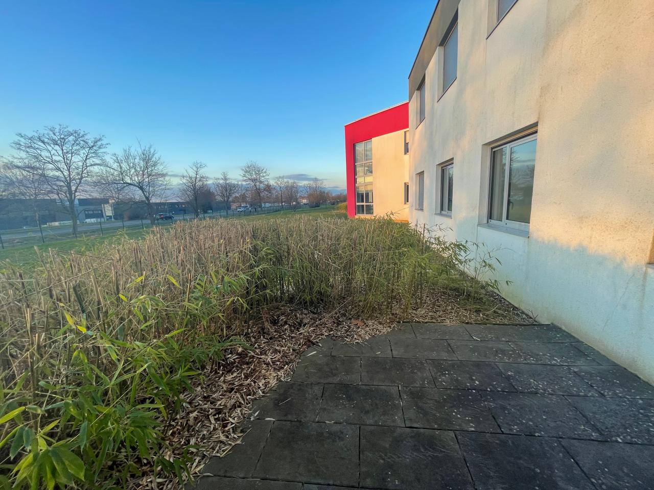 Bureau Ennery 530m² Location bureau Ennery Moselle OLBUR2427304 12
